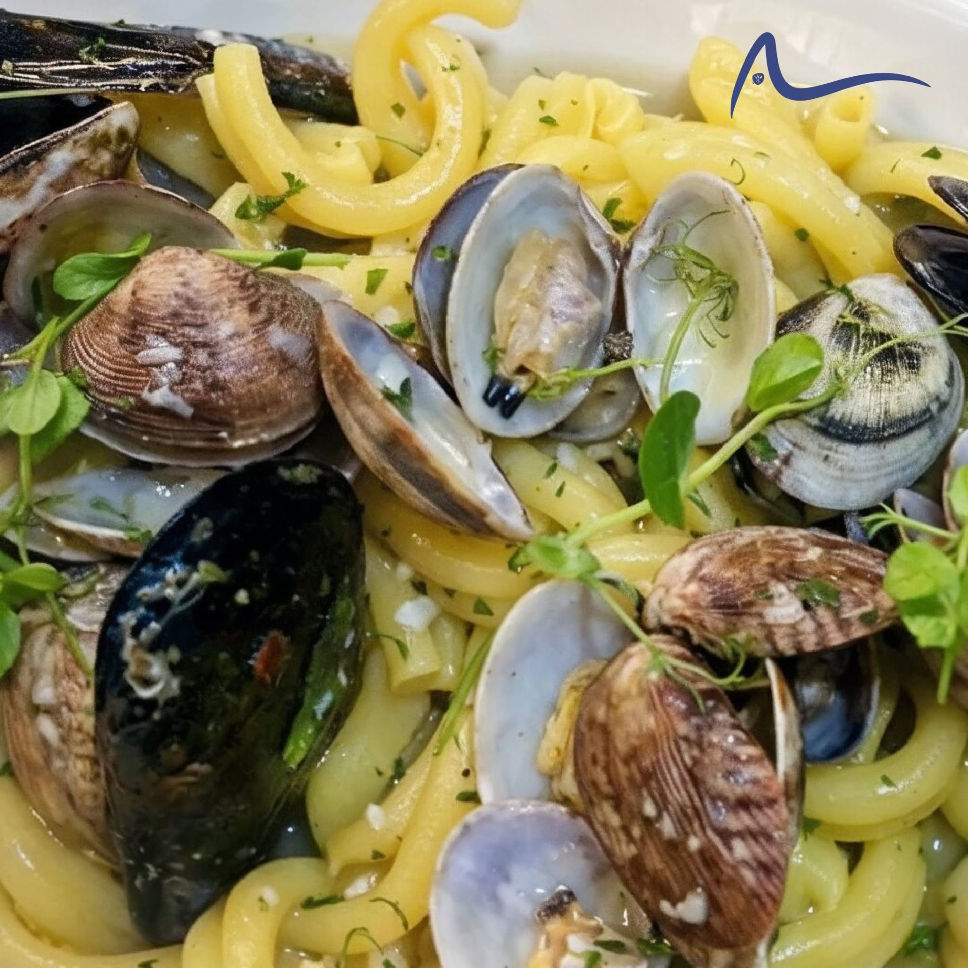 Seafood pasta with clams and mussels