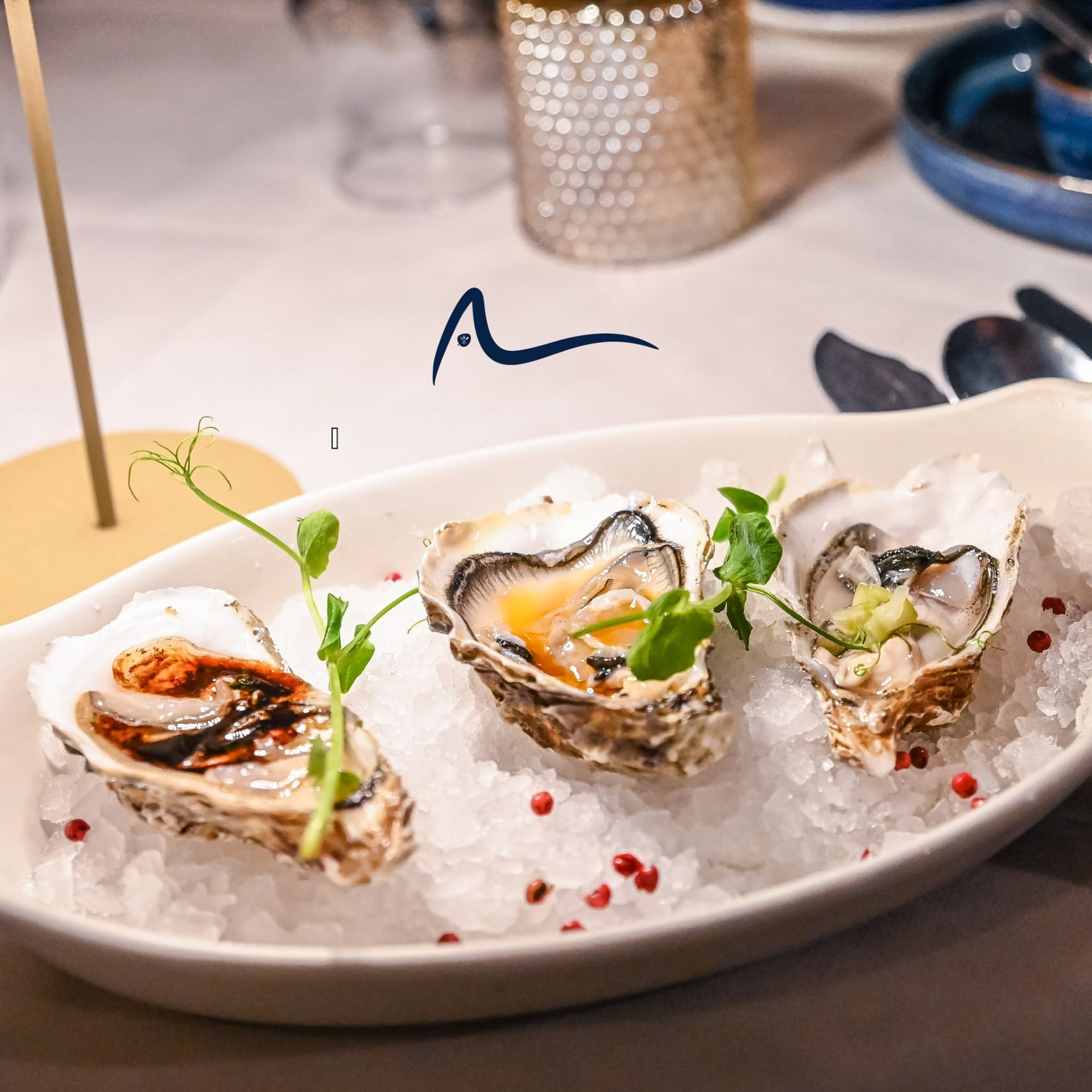 Fresh oysters served on crushed ice